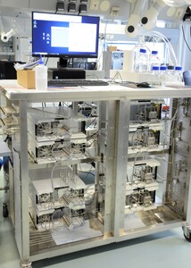 Flowmeter Model 502500